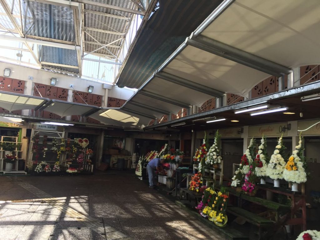 Pergola de las flores 04