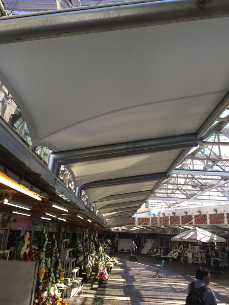 Pergola de las flores 05