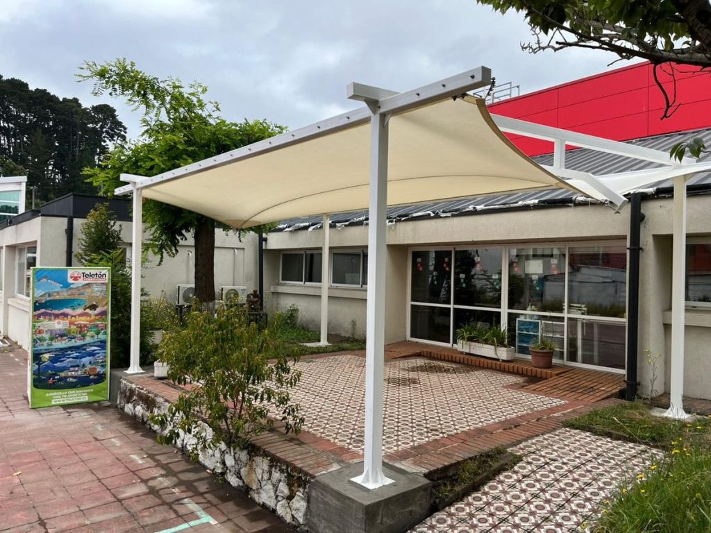 Teletón SP (1)